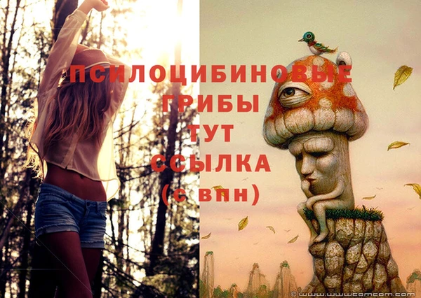 гидропоника Саяногорск