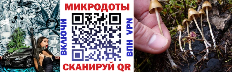 Галлюциногенные грибы мухоморы Кудрово